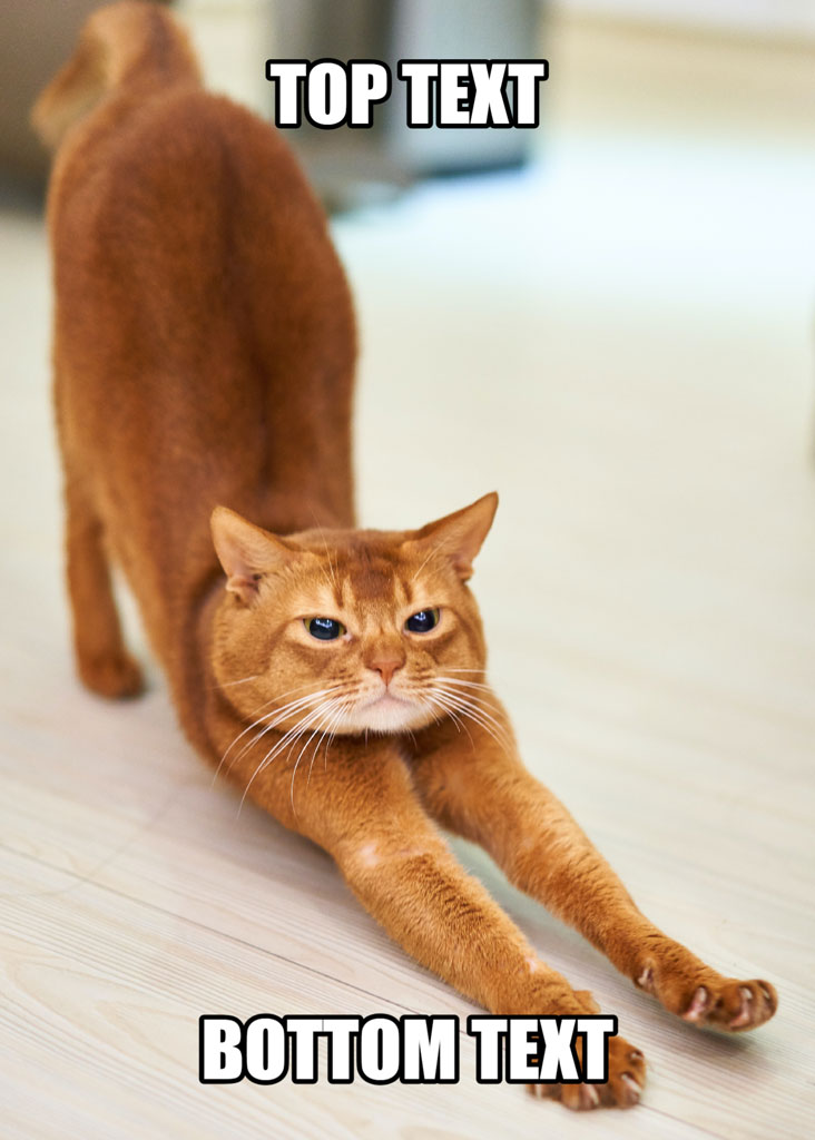 An orange cat stretching on a light-colored floor with text overlay.