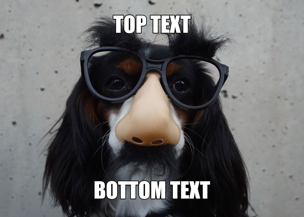 A dog wearing sunglasses with top and bottom text overlay