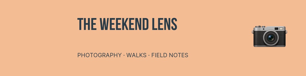 Preview for The Weekend Lens Linkedin Banner Template