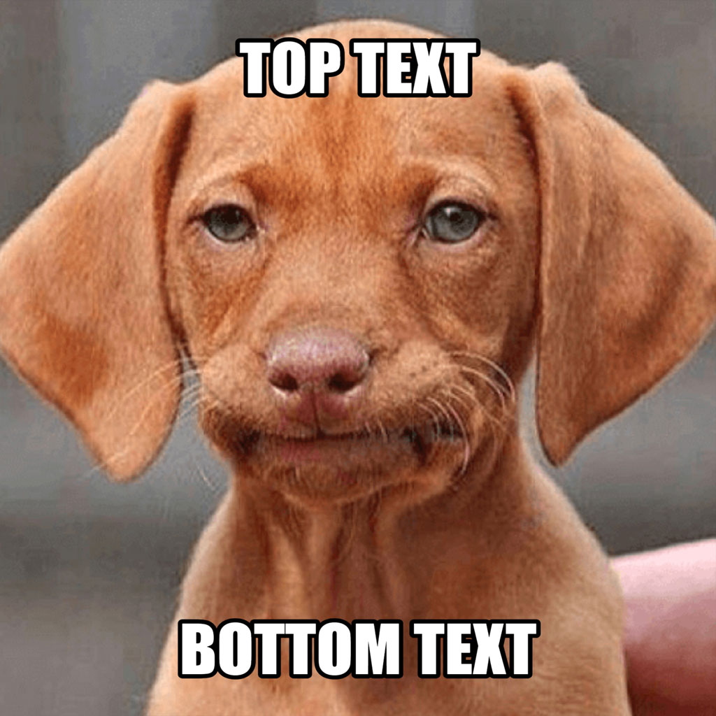 A sad puppy with floppy ears and a sorrowful expression, captioned with 'TOP TEXT' and 'BOTTOM TEXT'