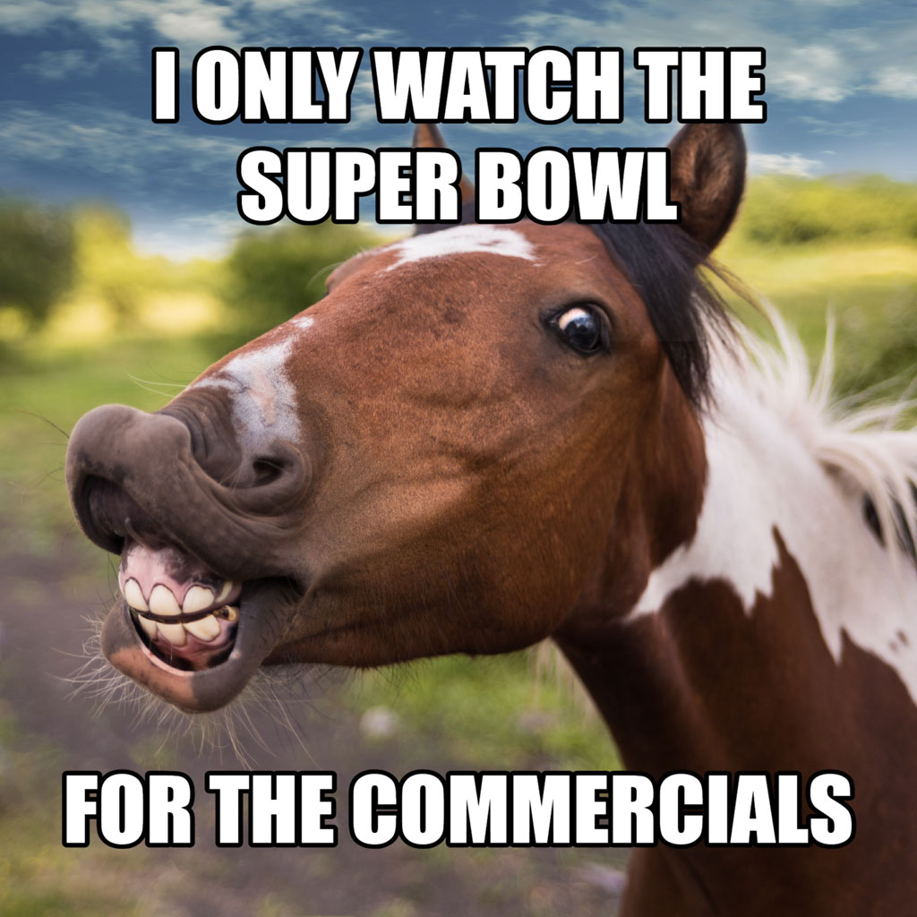 A brown horse with a goofy expression and the text 'I only watch the Super Bowl for the commercials'
