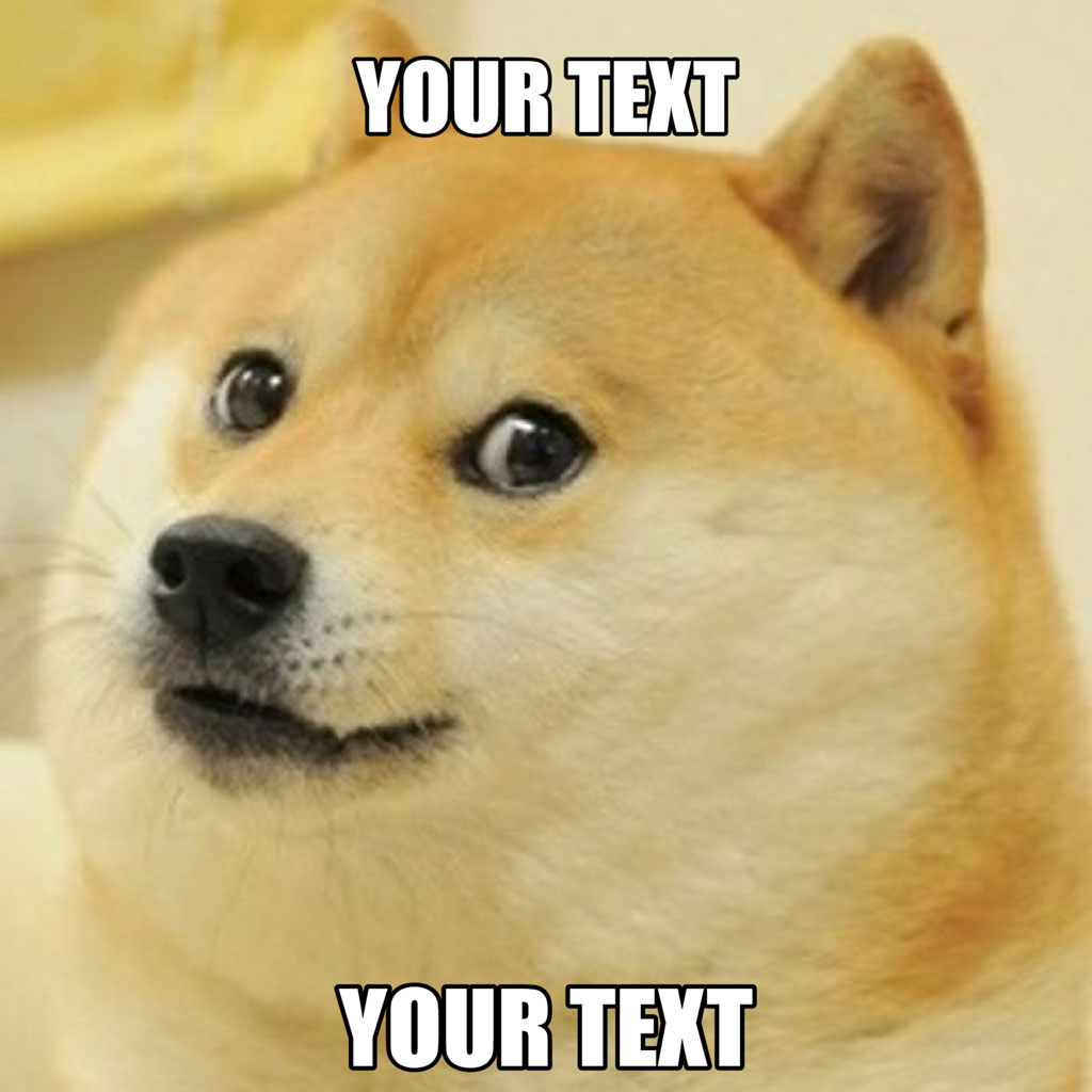 A close-up of a dog's face with a skeptical expression and text overlays.