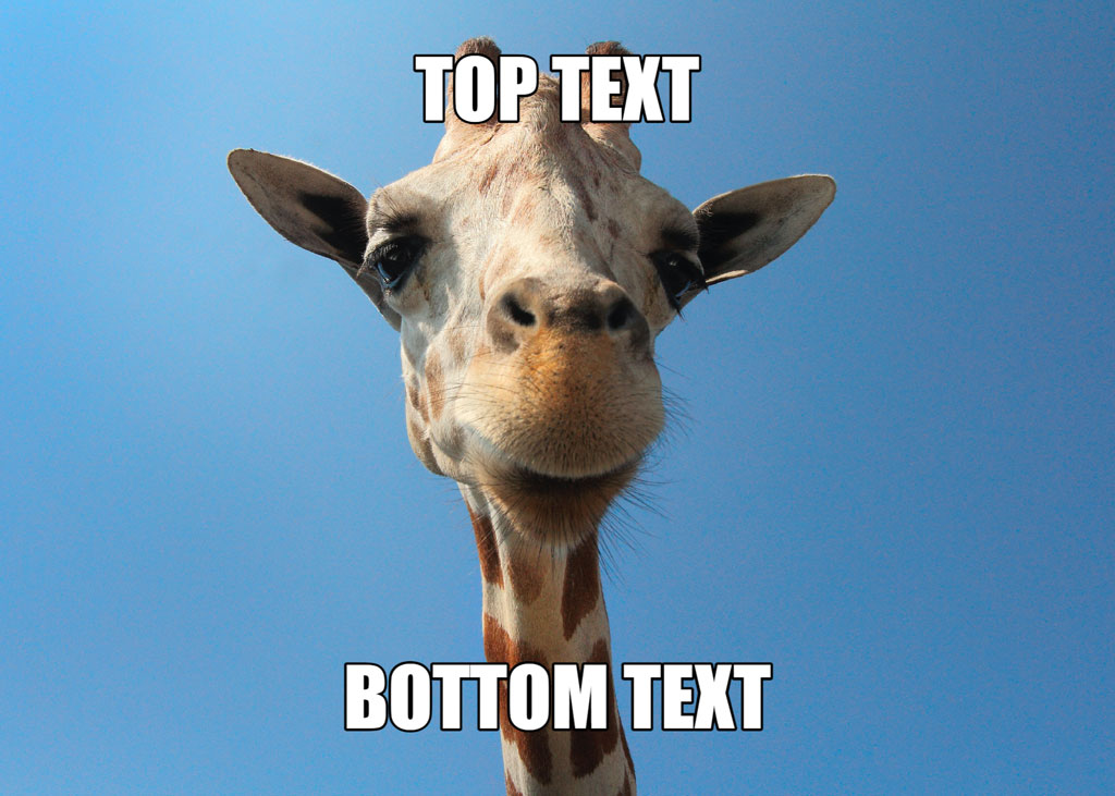 Giraffe looking down at the camera with top and bottom text overlay