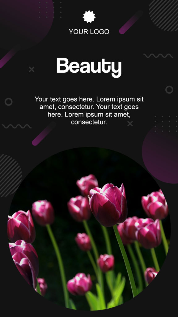 Pink tulips in a dark setting