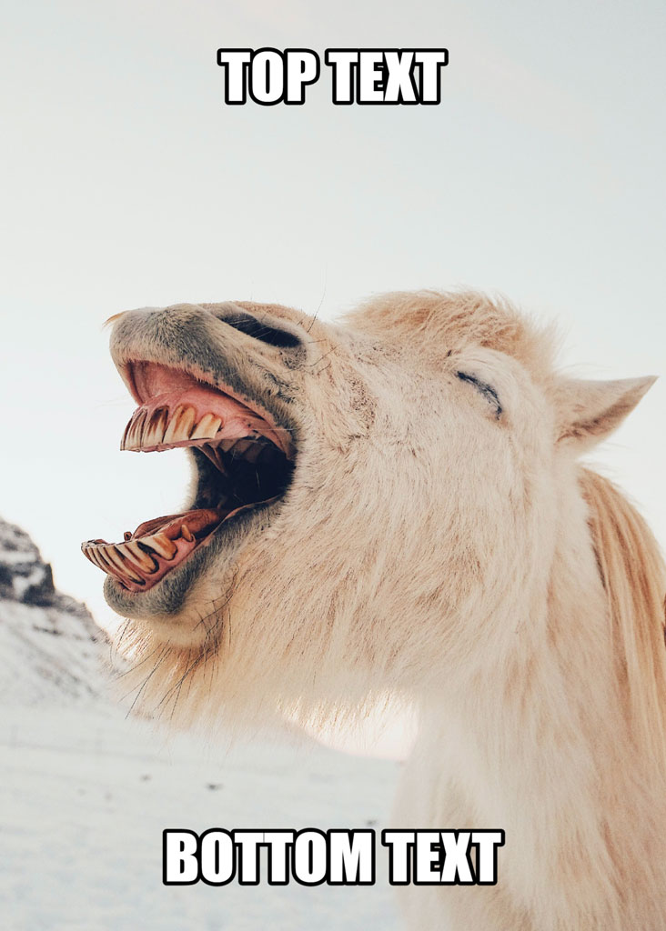 A white llama with its mouth open and eyes closed, appearing to laugh or scream, with placeholder text for meme customization.