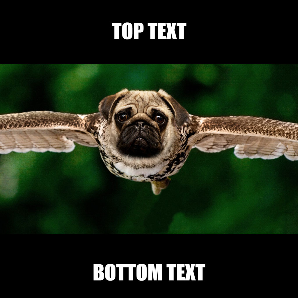 A pug's face is superimposed on a bird in flight against a green background.