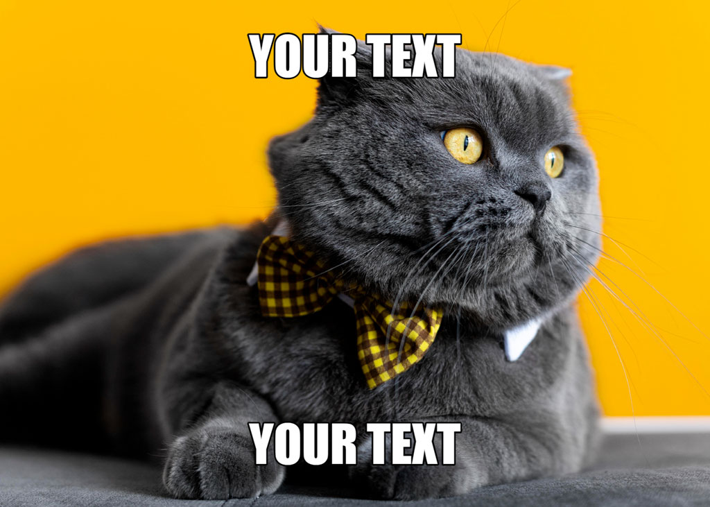 A grey cat wearing a yellow checkered bow tie lies on a grey surface against a yellow background.