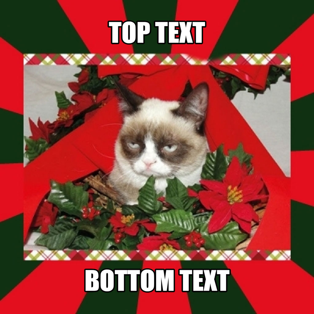Grumpy Cat in a Christmas wreath