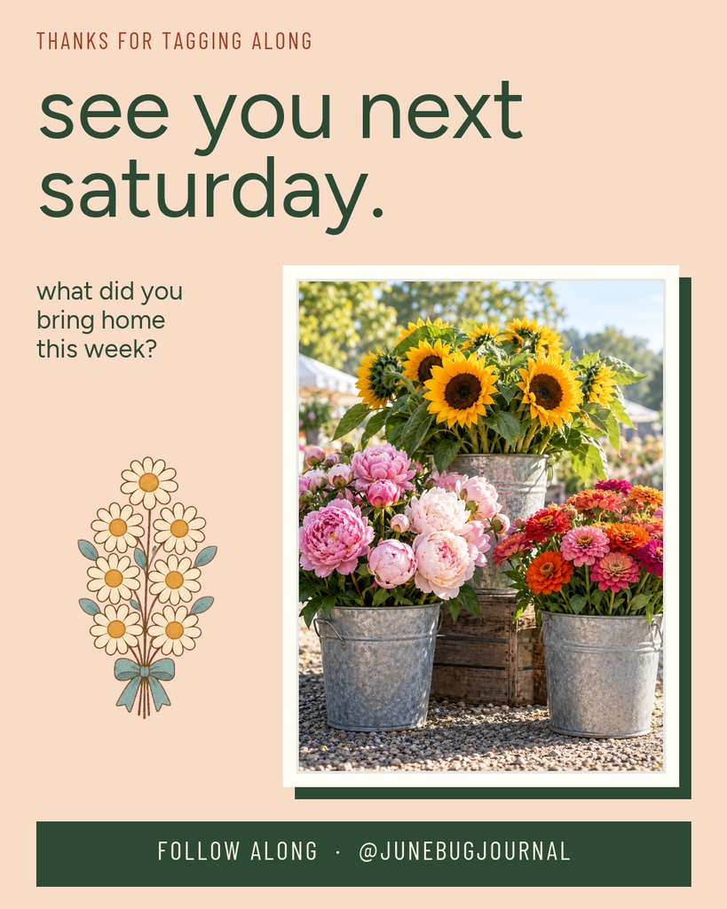 Preview for Saturday At The Farmers Market Carousel Call To Action Template