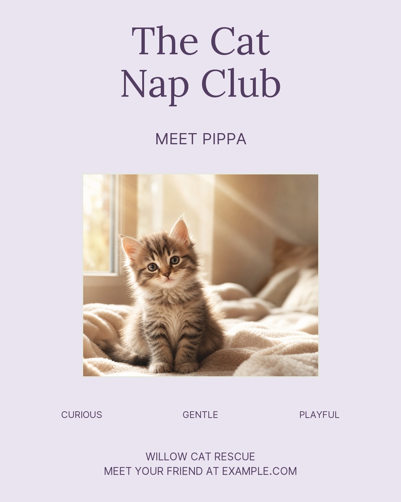 Preview for The Cat Nap Club Portrait Post Template