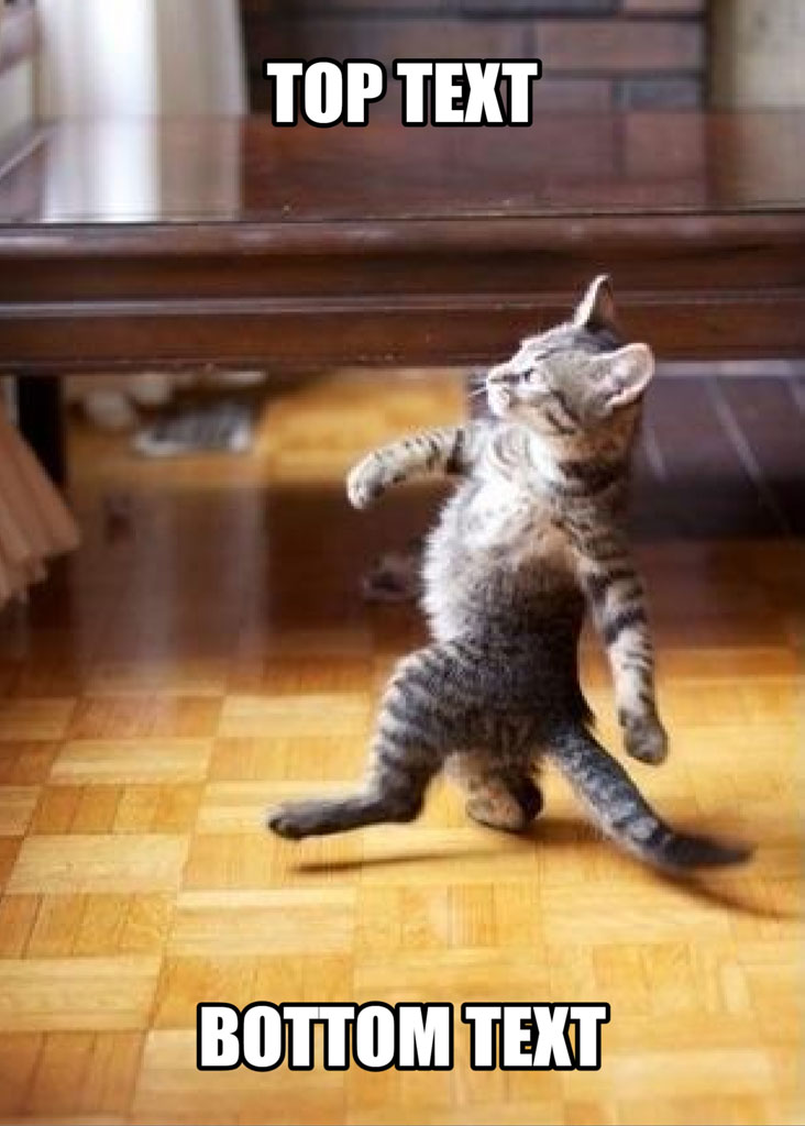 A grey tabby cat standing on its hind legs under a wooden table with text overlay.
