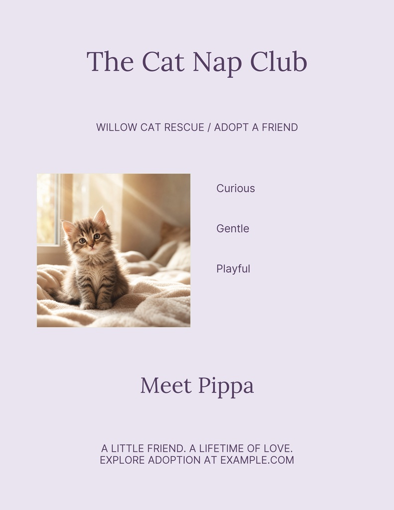 Preview for The Cat Nap Club Letter Flyer Template