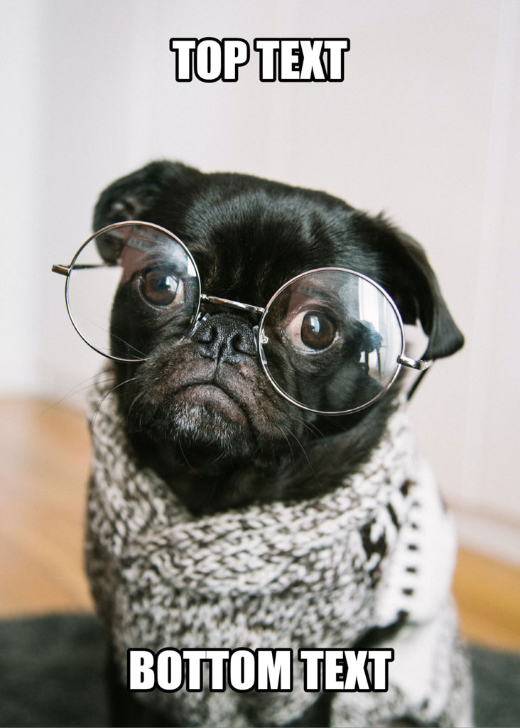 A black pug dog wearing round glasses and a gray knitted scarf, with placeholder text for meme customization.