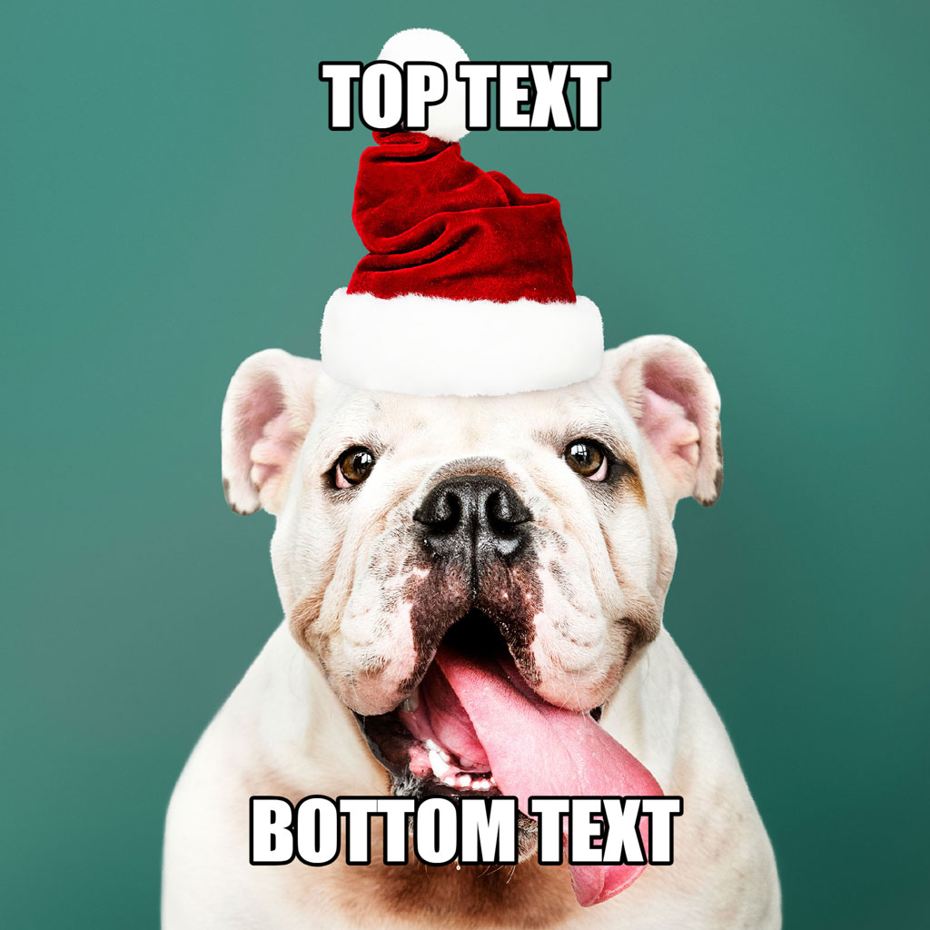 Bulldog in Santa hat with text overlay