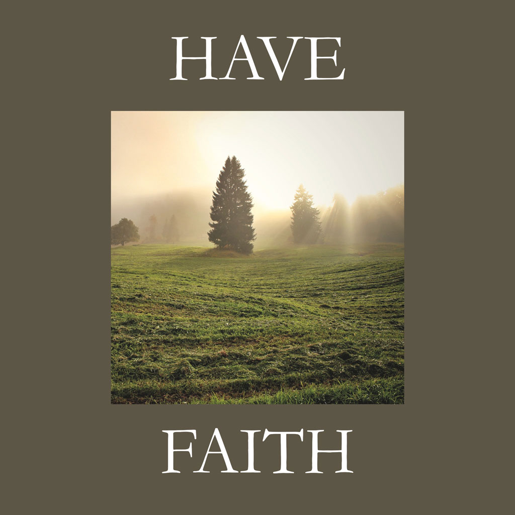 Misty field with trees at sunrise