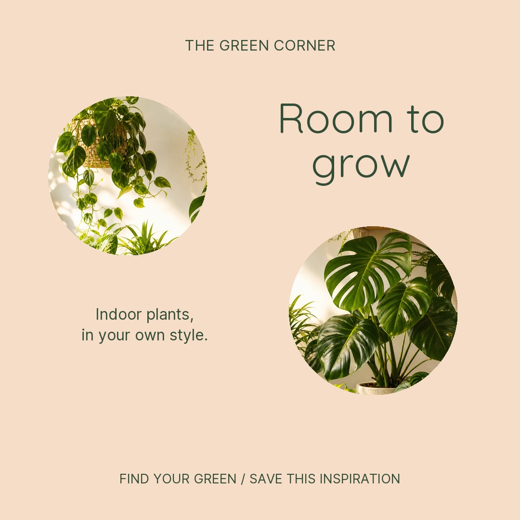 Square beige post with the text Room to grow and two circular indoor plant photos.