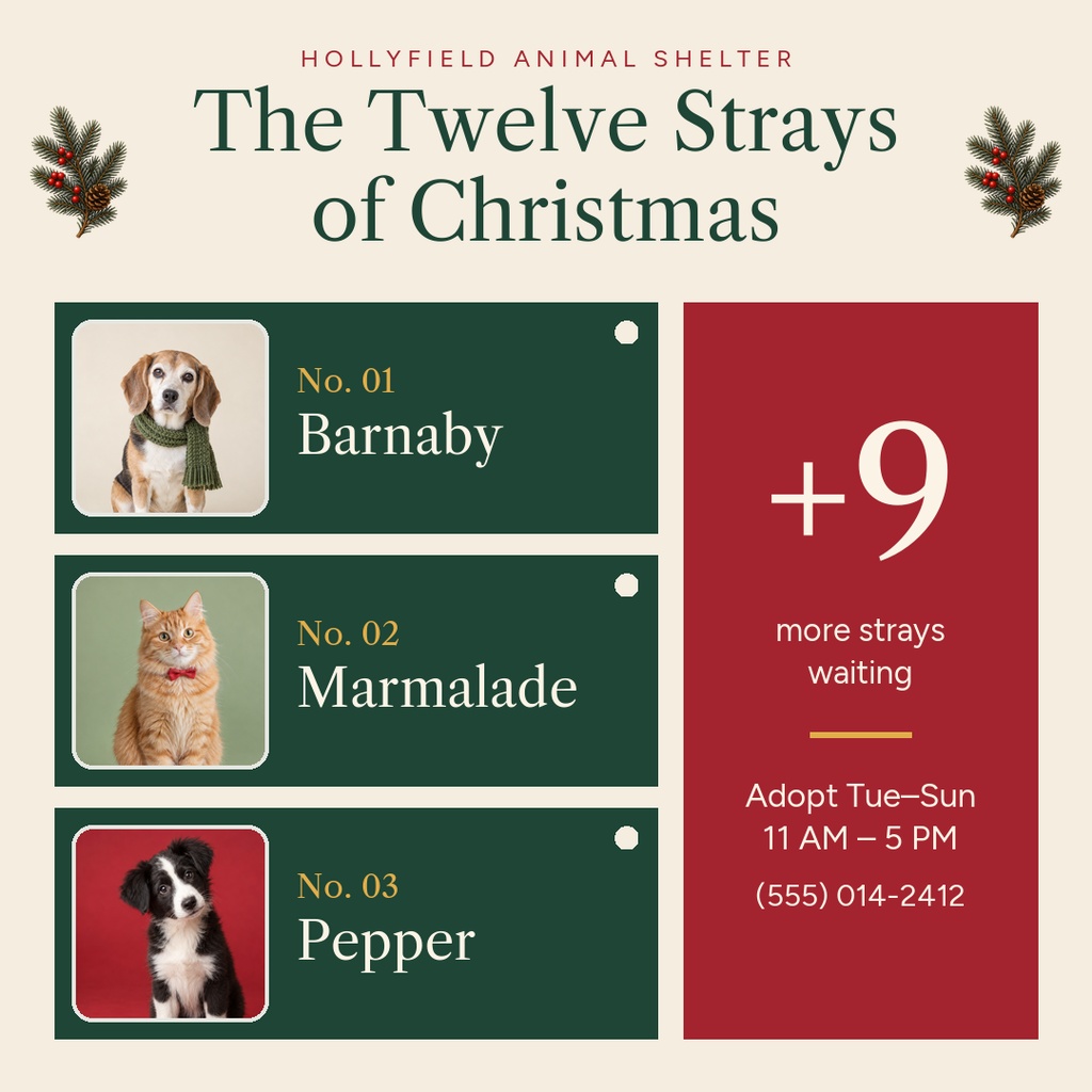 Preview for The Twelve Strays Of Christmas Square Post Template