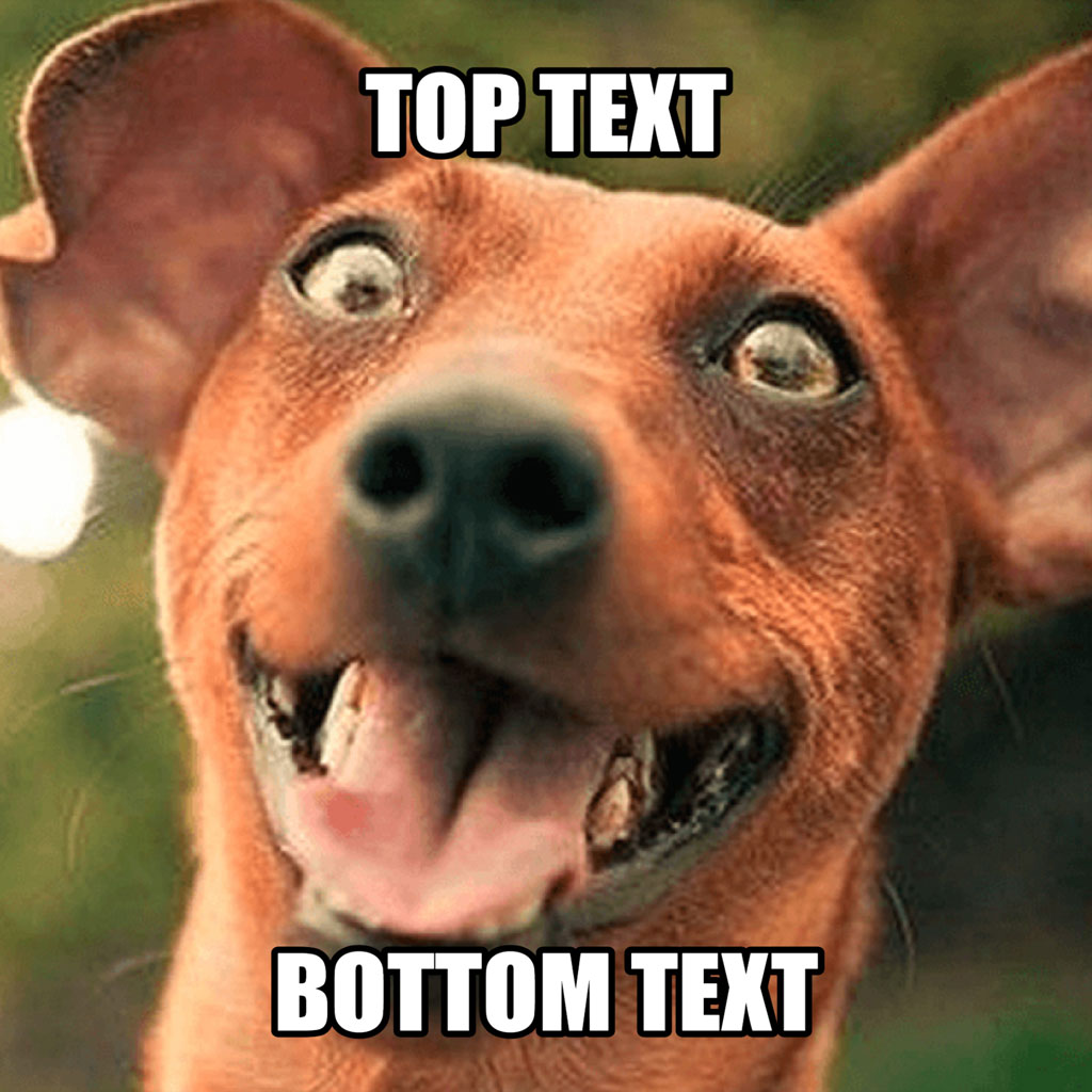 A brown dog with a crazy expression and the words TOP TEXT and BOTTOM TEXT