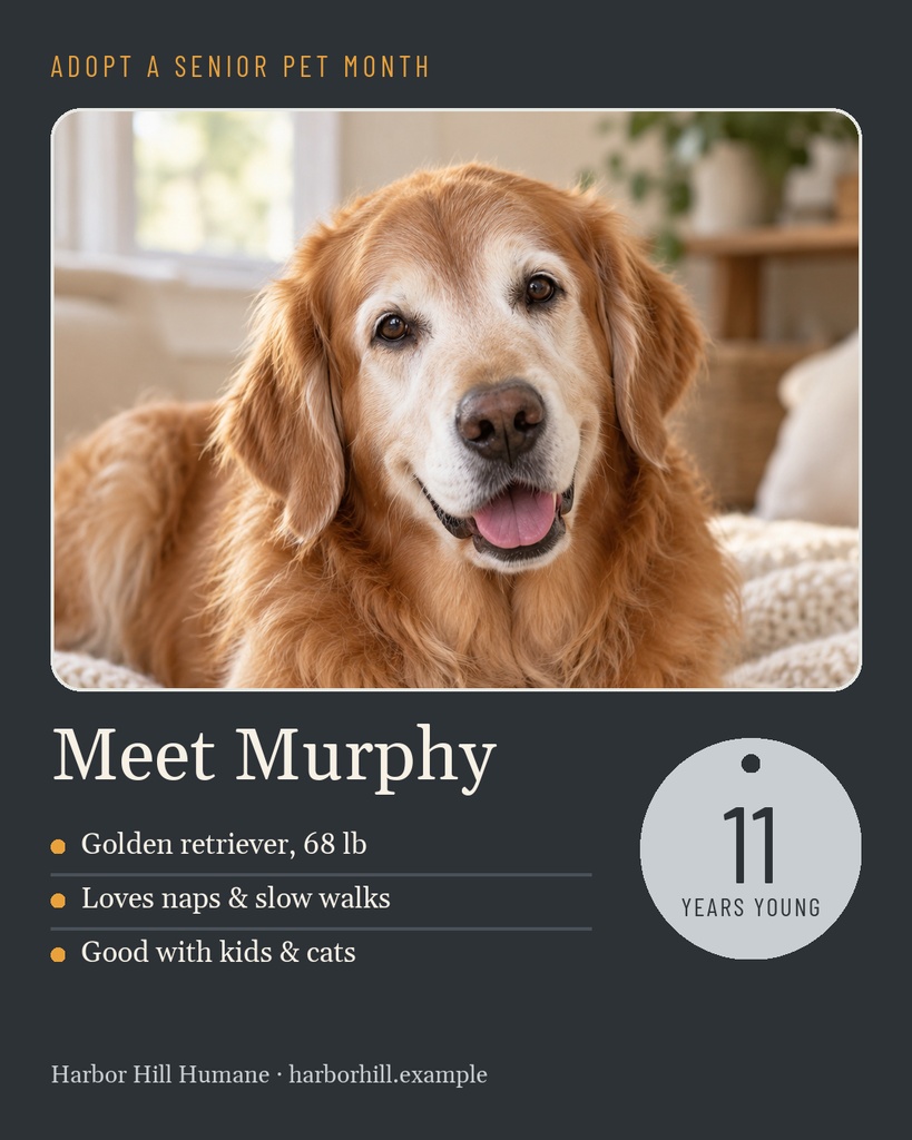 Preview for Gray Muzzle Adoption Month Portrait Post Template