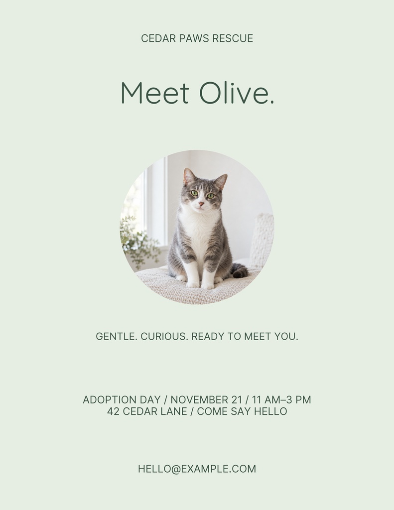 Preview for Olive Finds A Family Letter Flyer Template