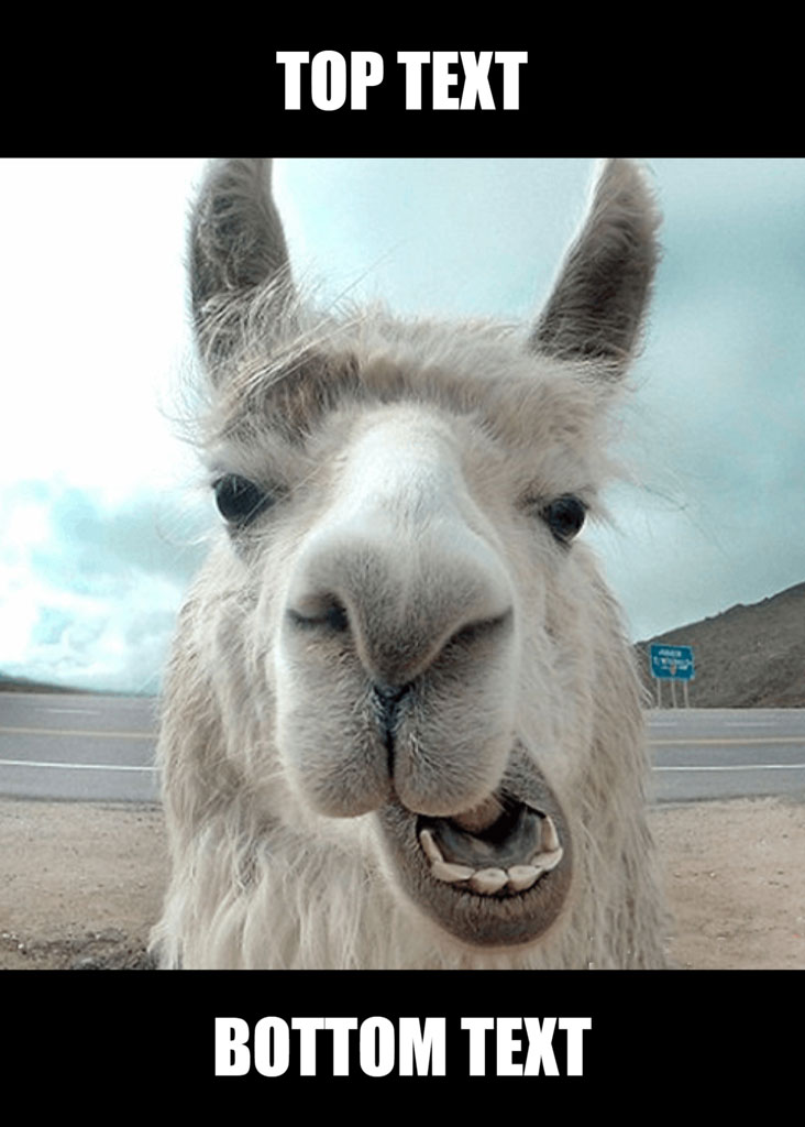 A white llama with its mouth open, standing on a dirt road with a highway in the background.