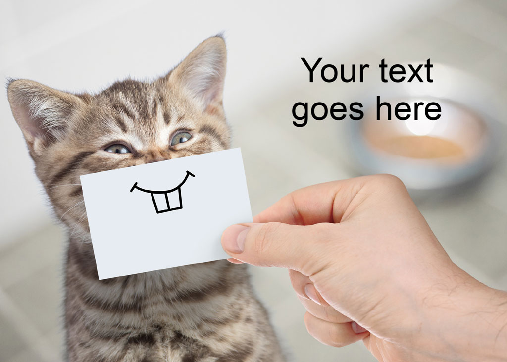 A tabby cat holding a card with a simple drawing