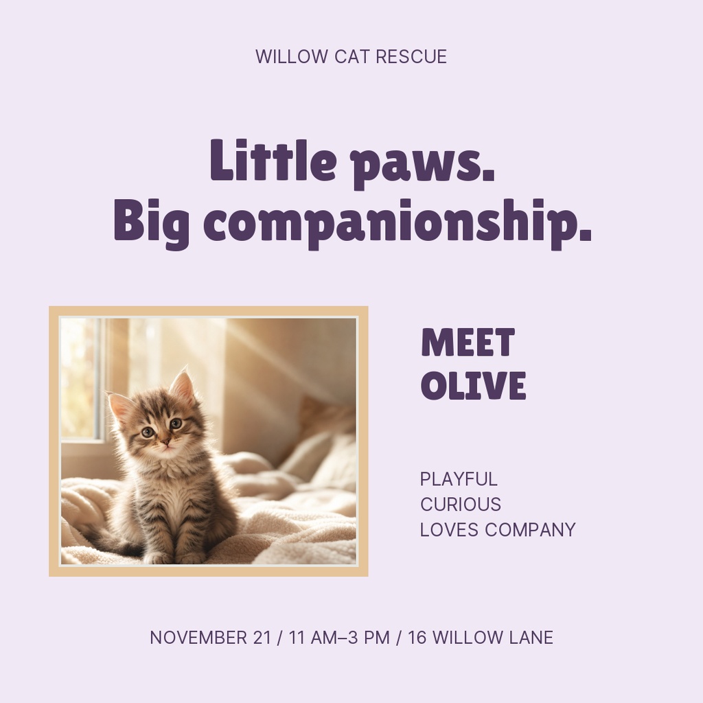 Preview for Purrfect Little Company Square Post Template