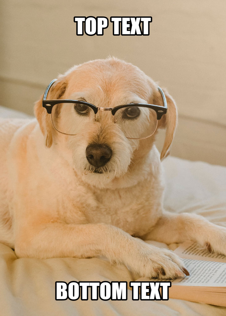 A dog wearing glasses and lying on a bed with a book.