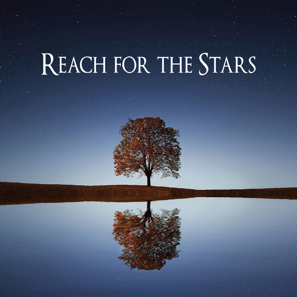 A tree with autumn leaves stands alone on a small hill, reflected in still water under a starry night sky.