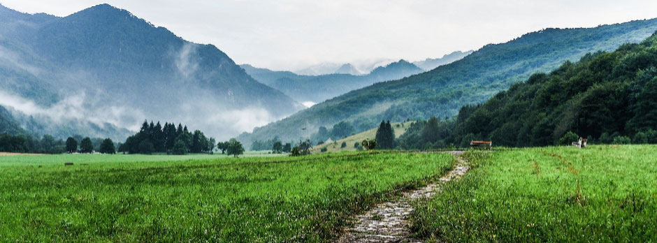 A dirt path through a green field with mountains in the background