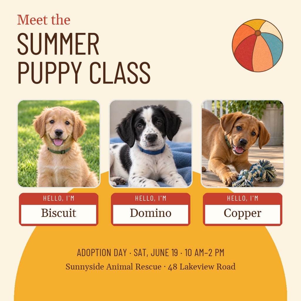 Preview for Meet The Summer Puppy Class Square Post Template