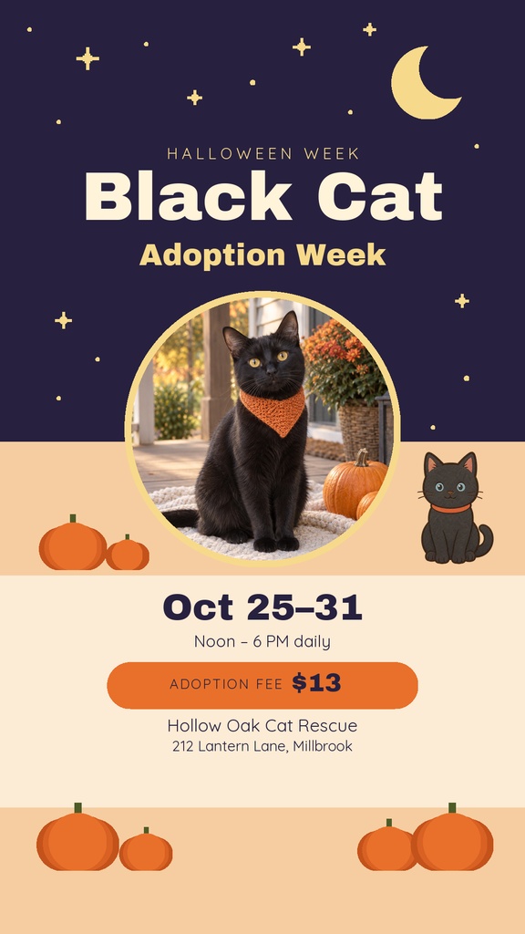 Instagram story template with a black cat, pumpkins, and Halloween Week Black Cat Adoption Week text.