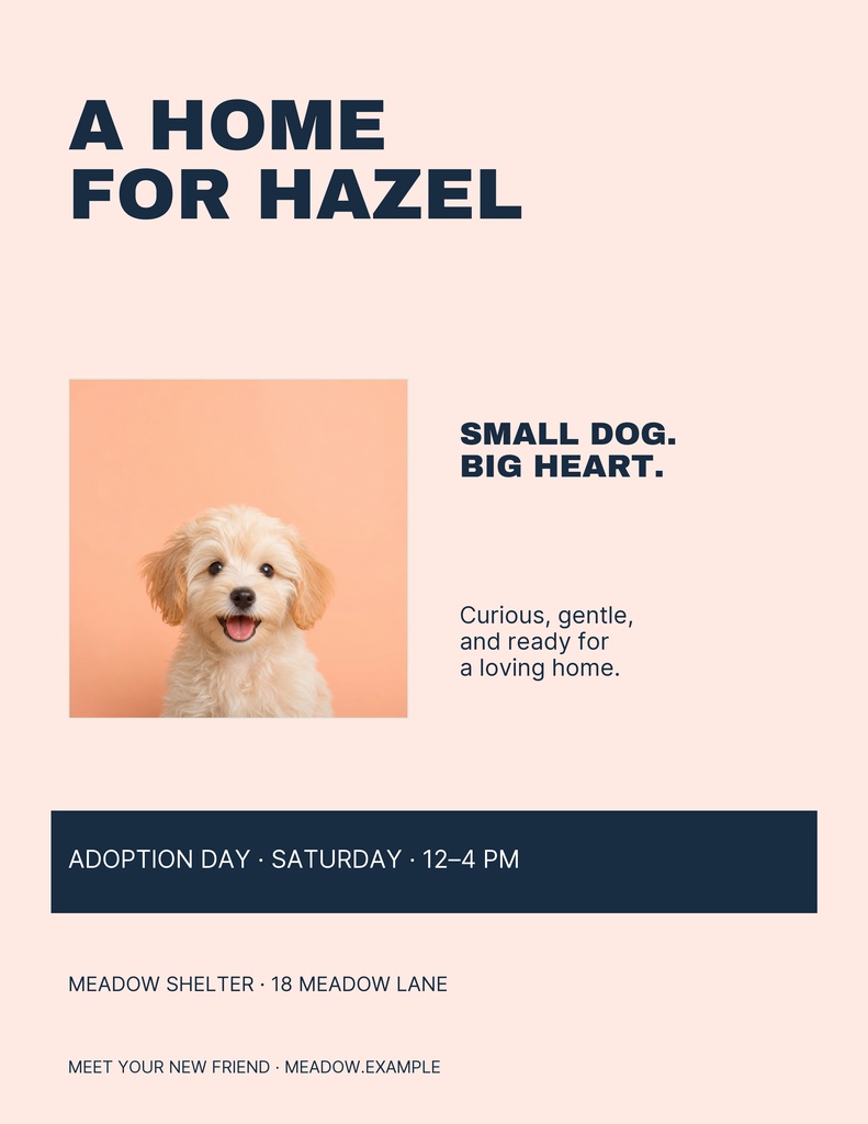 Preview for A Home For Hazel Letter Flyer Template