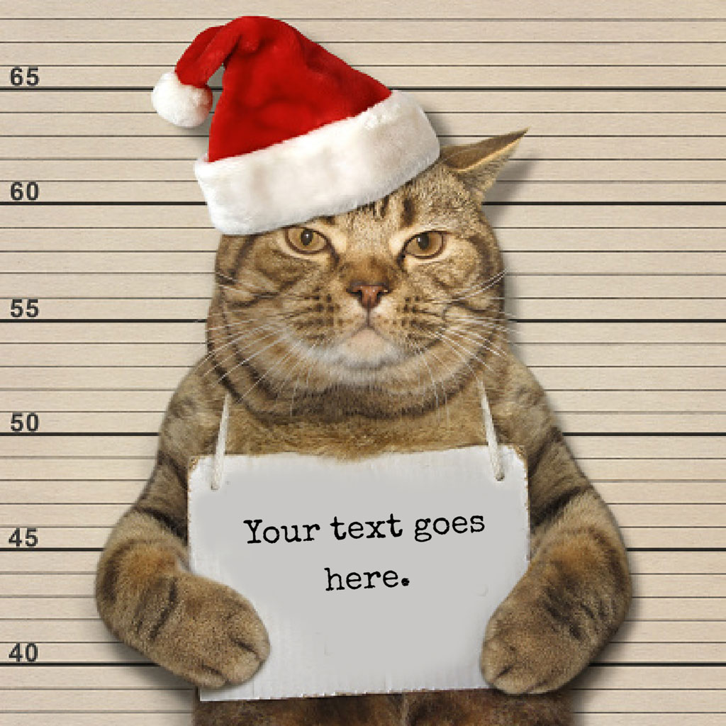 Tabby cat in Santa hat holding a sign in front of a police height chart