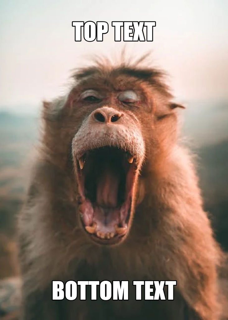 A monkey with its mouth open and eyes closed, appearing to be laughing or screaming