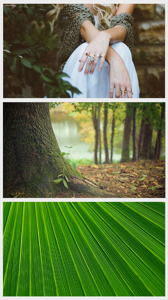 Collage of a woman with rings, a forest scene, and close-up of green leaves