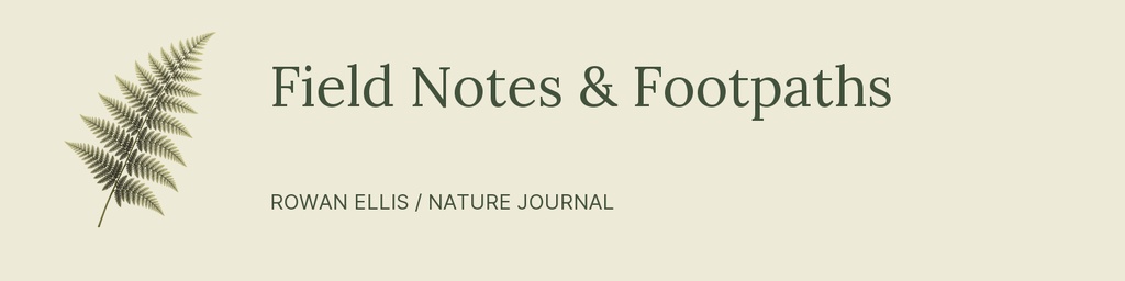 Preview for Field Notes And Footpaths Linkedin Banner Template