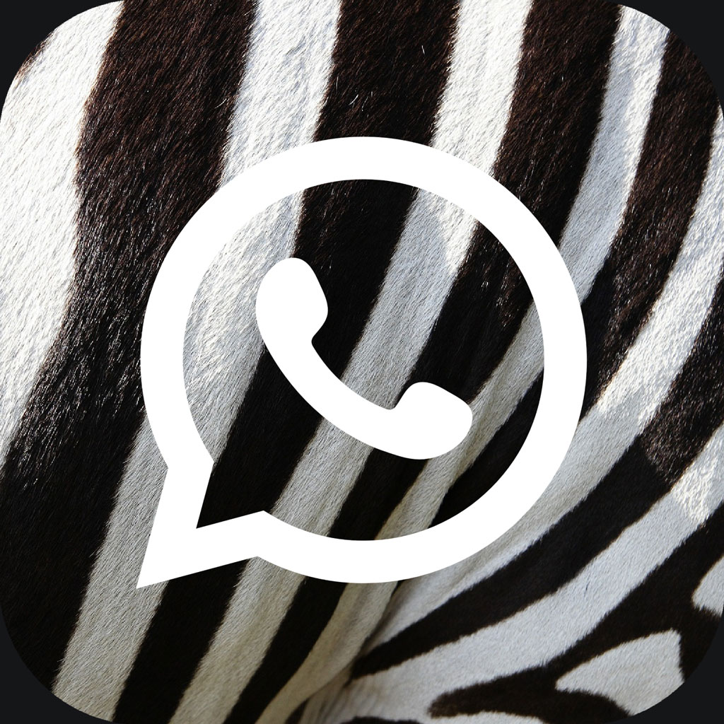 WhatsApp logo on zebra pattern