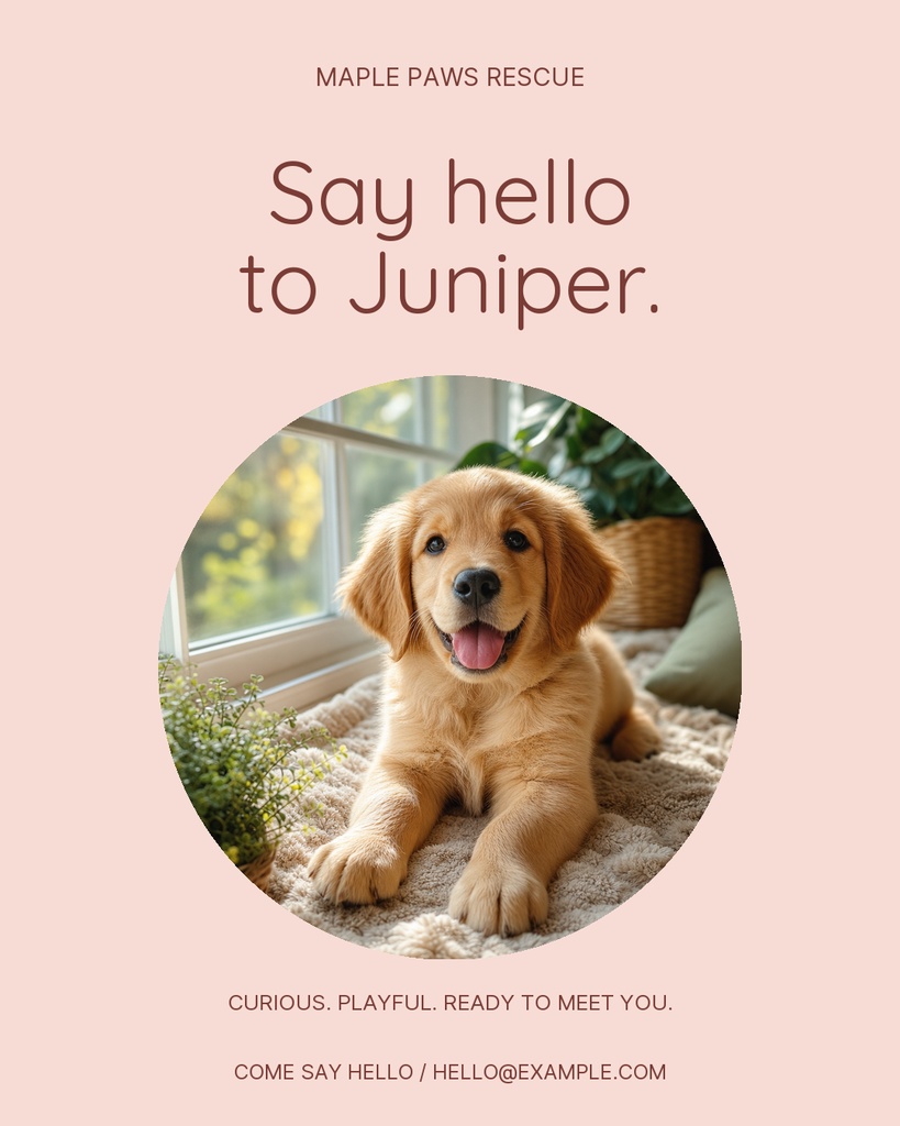 Preview for Say Hello To Juniper Portrait Post Template