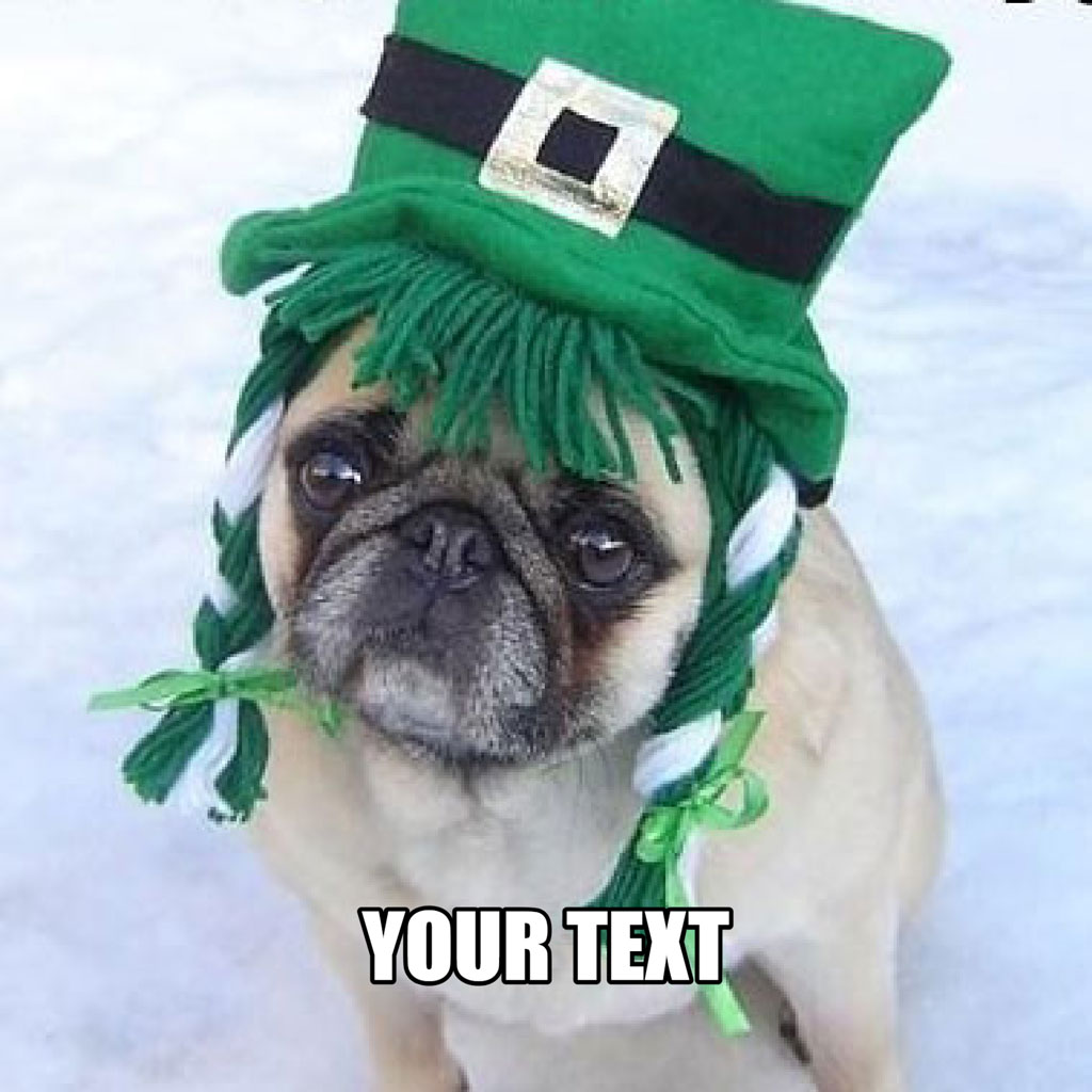 Pug wearing a green leprechaun hat and beard