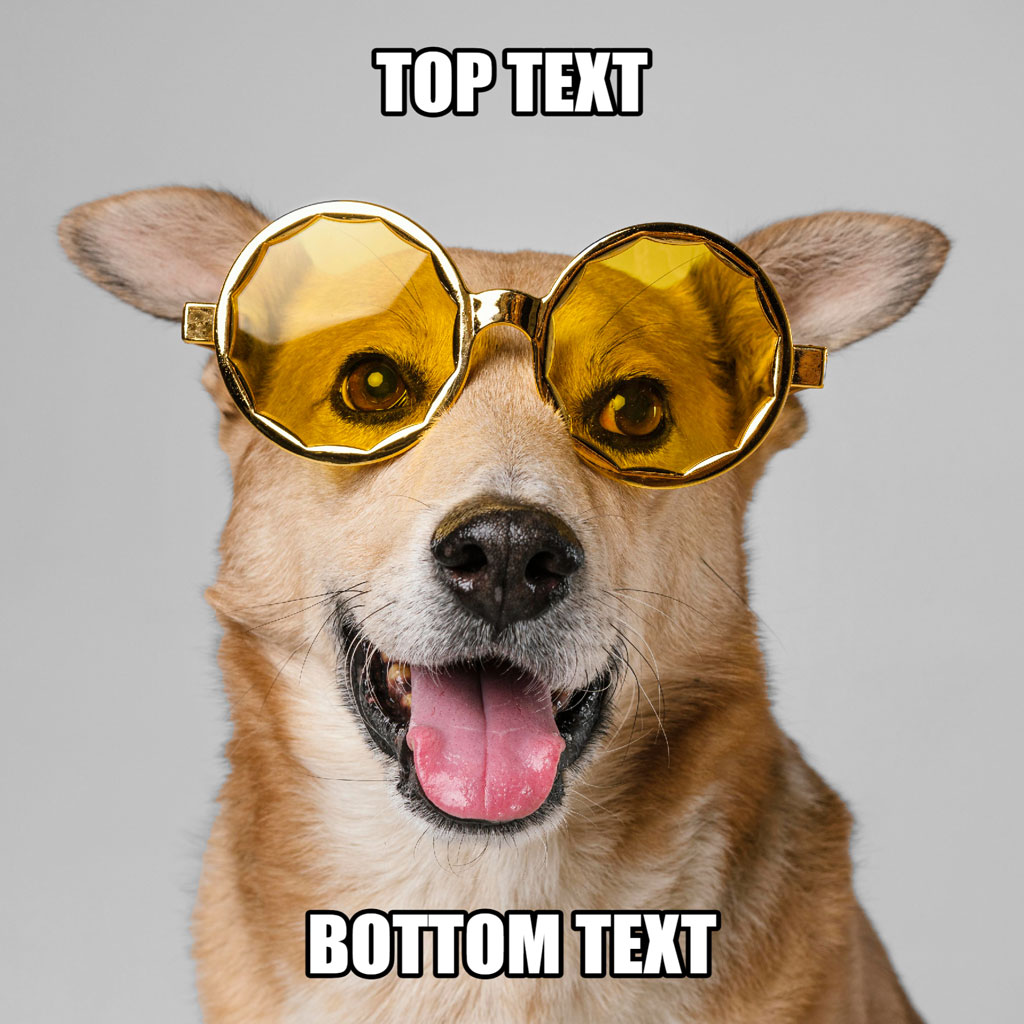 A corgi wearing yellow sunglasses with a happy expression