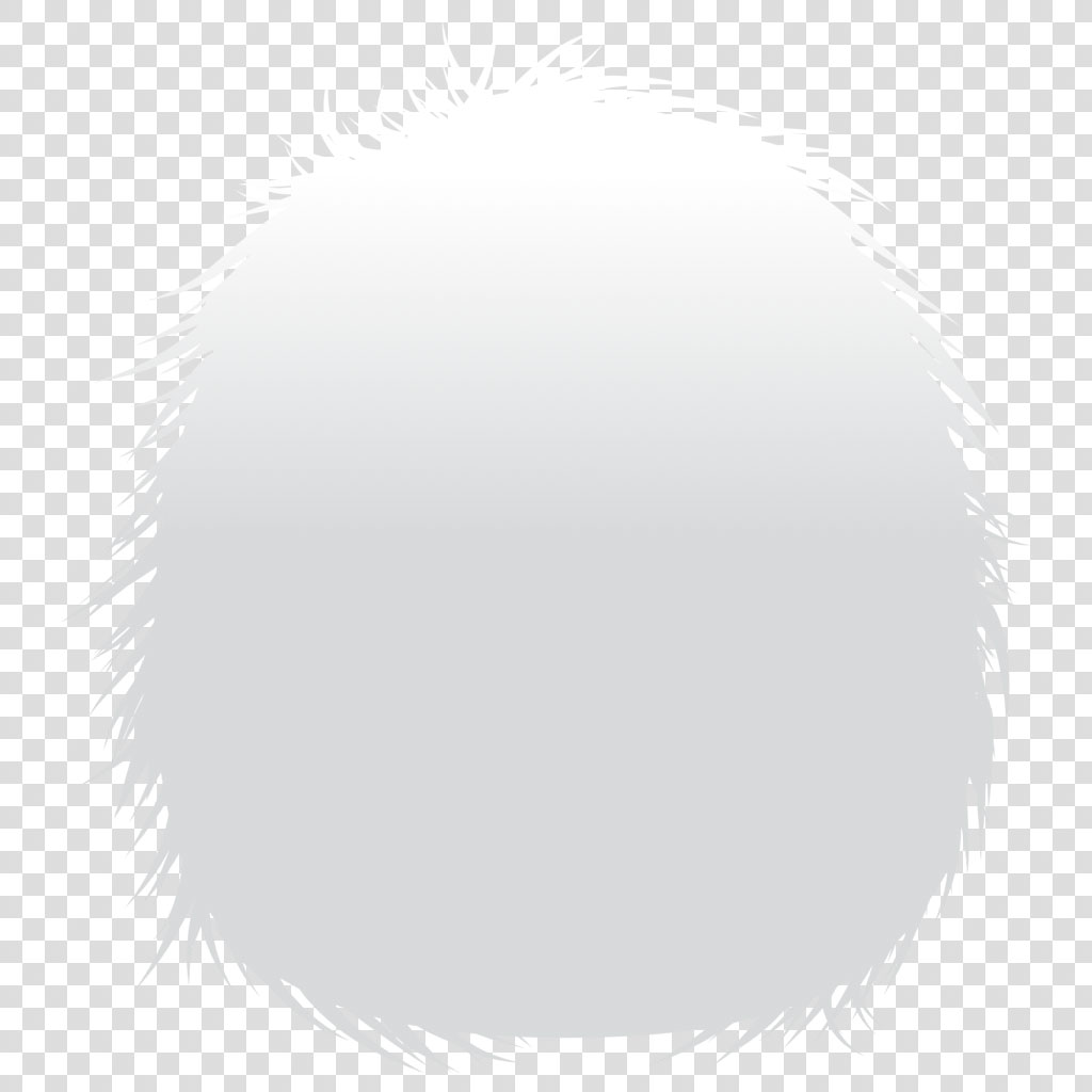 A round mirror with a fringed edge