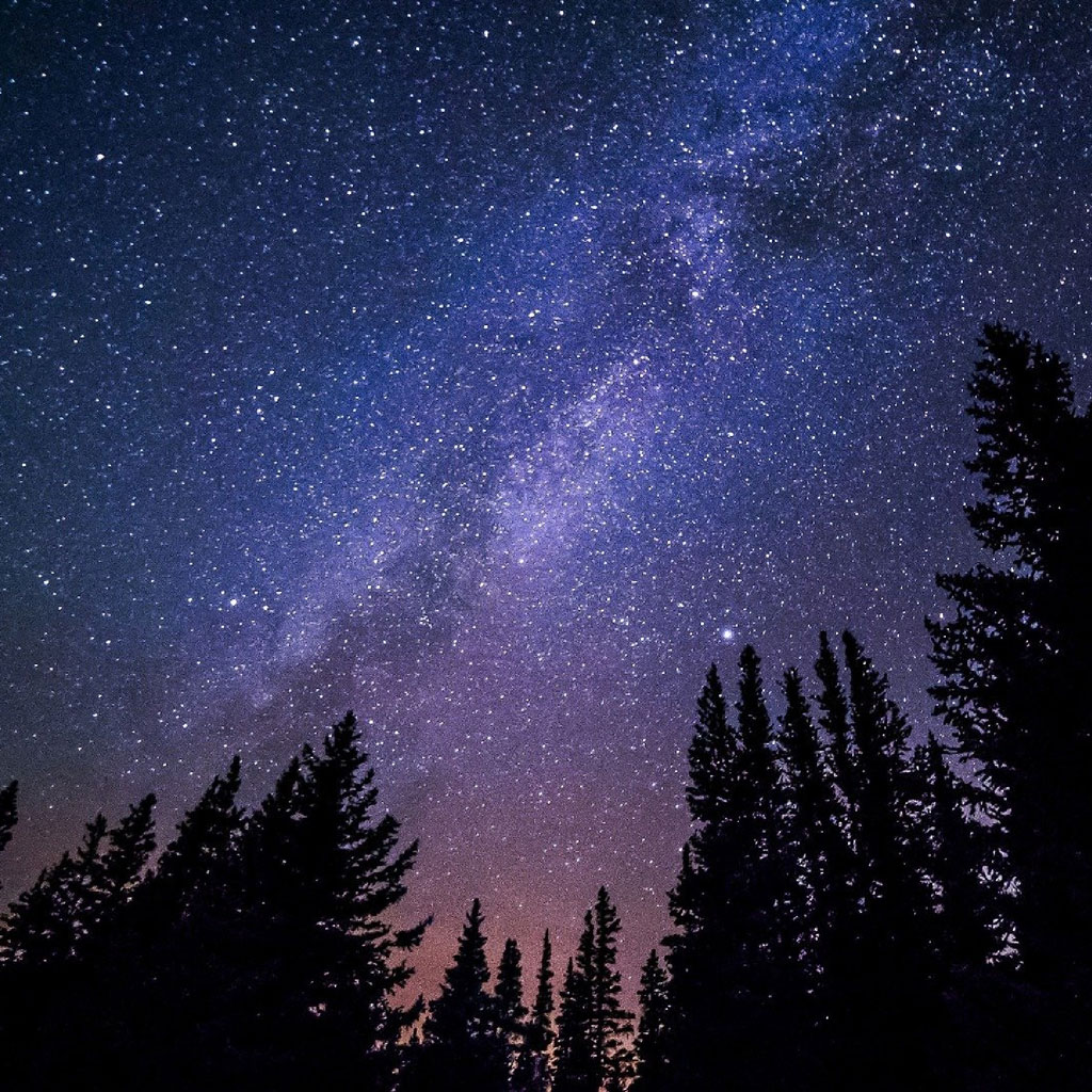 A starry night sky with the Milky Way visible above silhouetted trees, with the text 'REACH FOR THE STARS' written across it.