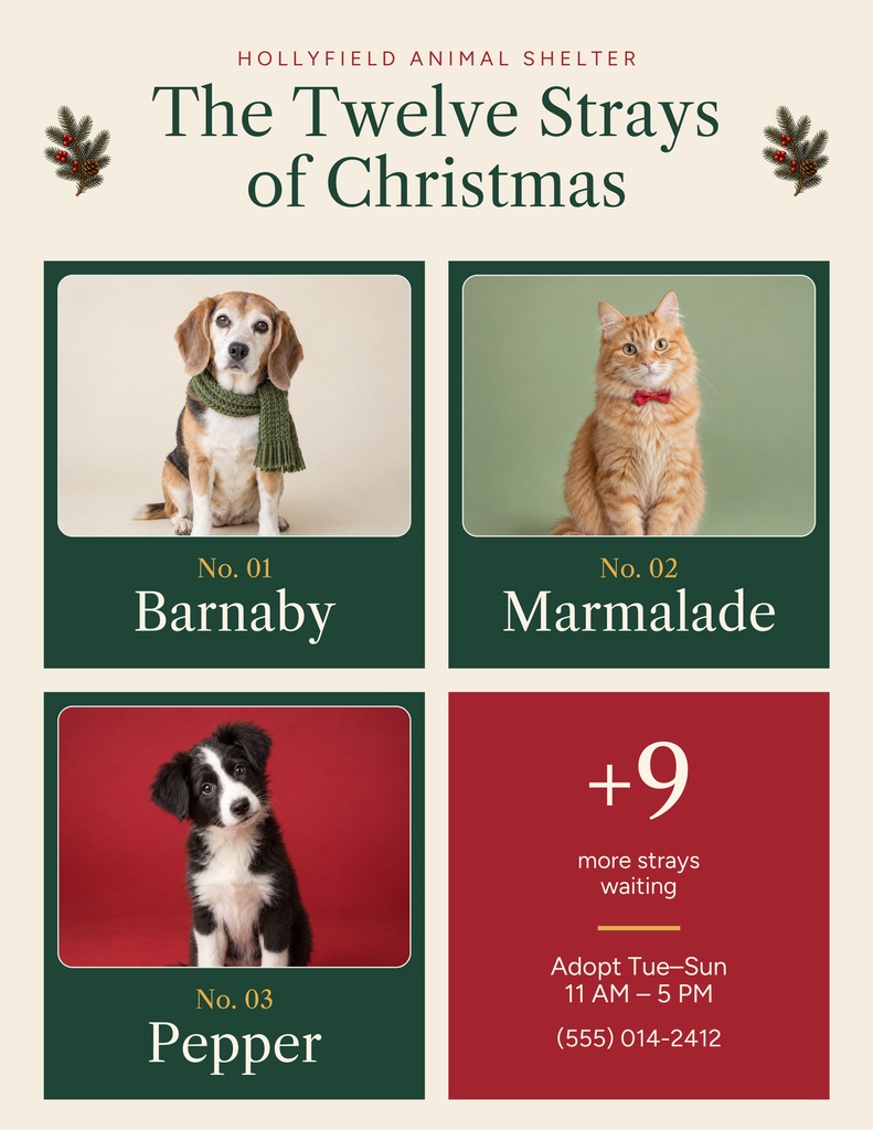 Preview for The Twelve Strays Of Christmas Letter Flyer Template