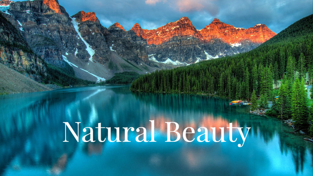 A tranquil lake with mountains and trees