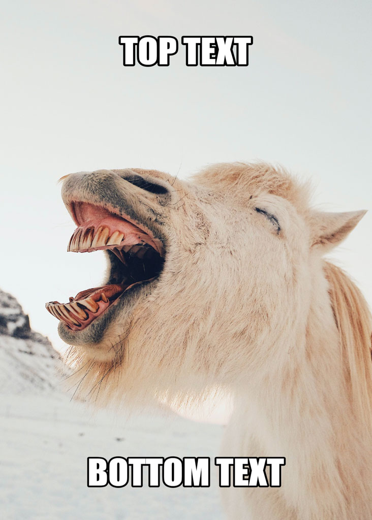 A white llama with its mouth open, appearing to laugh or scream, with a meme text overlay.