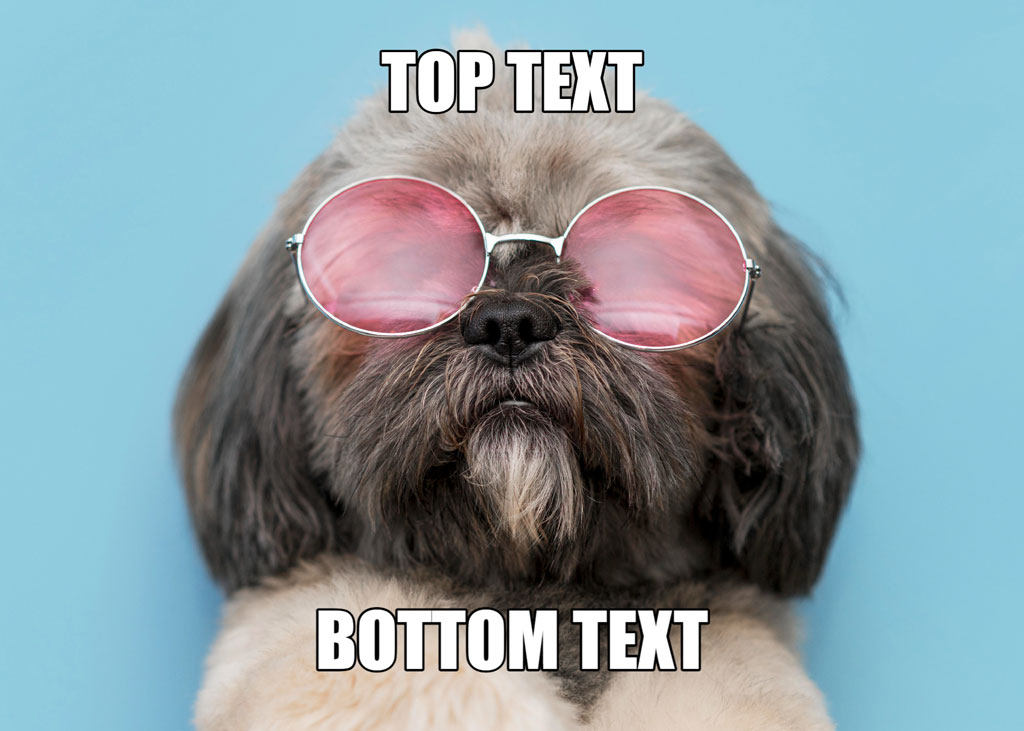 A dog wearing sunglasses with top and bottom text overlay