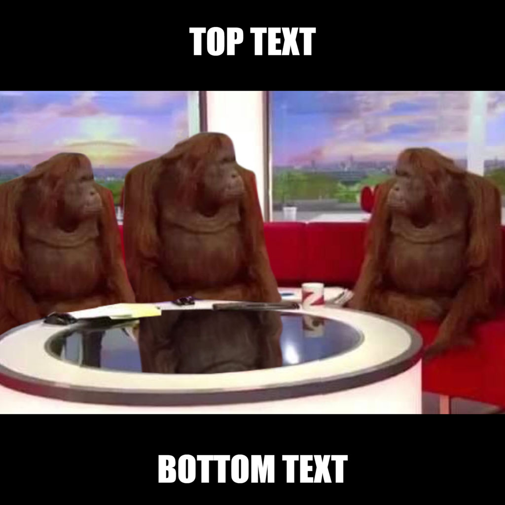 Three orangutans sitting at a news desk with a red couch and a scenic view behind them.